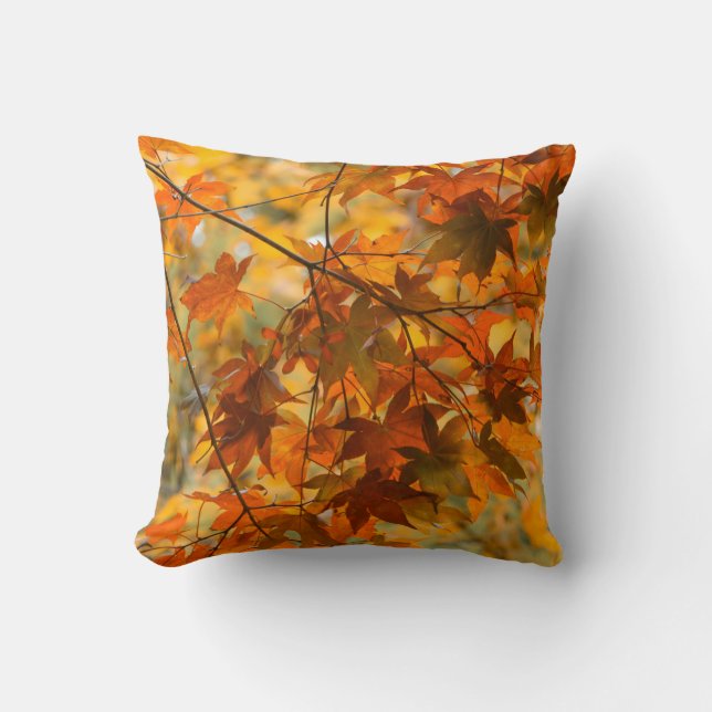 Almofada Autumn Deixa Pumpkin Laranja Colorido (Frente)