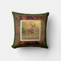 Autumn Whitetail Buck nº 1