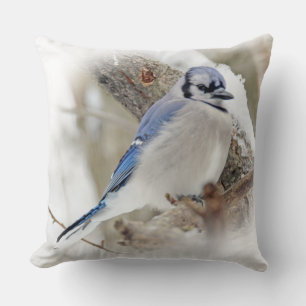 Almofada Aves canoras de Jay azul na neve