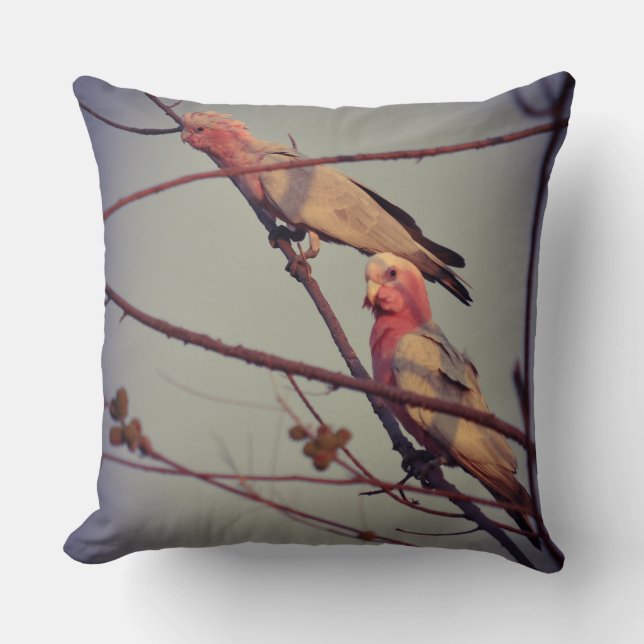 Almofada Aves Galah na árvore2 (Frente)