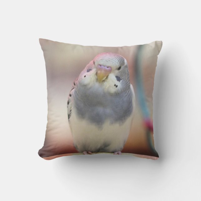 Almofada Azul (Frente)