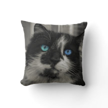 Almofada Azure Soul Gato Preto Olhos Azuis
