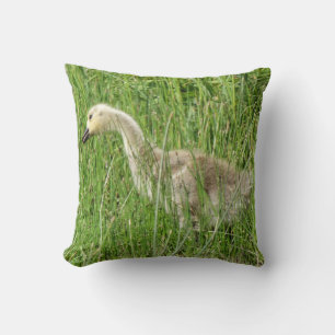 Almofada B58 Ganso Canadense Gosling na Grama