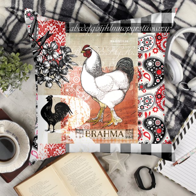 Almofada B é para frango do quintal Brahma (Criador carregado)