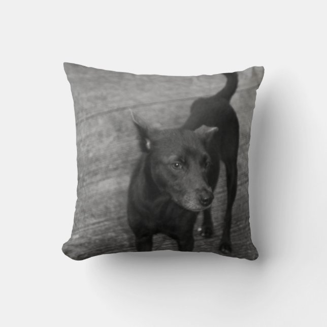 Almofada B&W - Aspin (Frente)