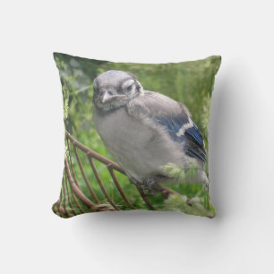 Almofada Baby Blue Jay