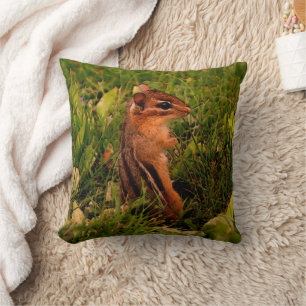 Almofada Baby Chipmunk Nature Art American MoJo Travesseiro