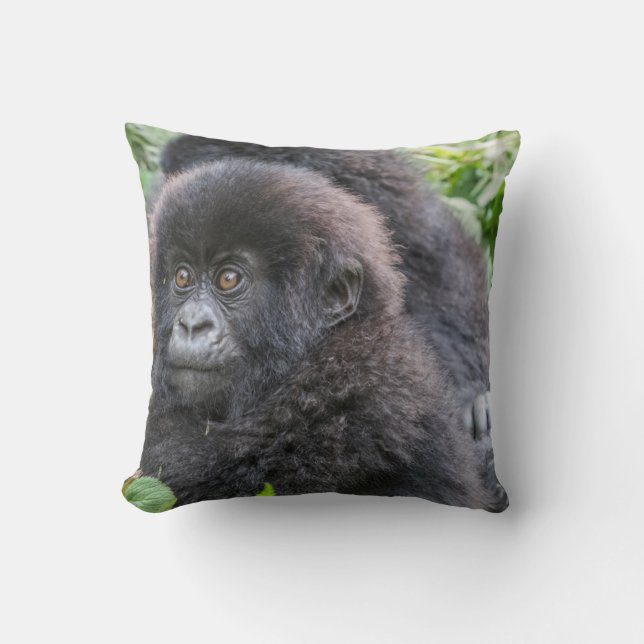Almofada Baby Mountain Gorilla (Frente)