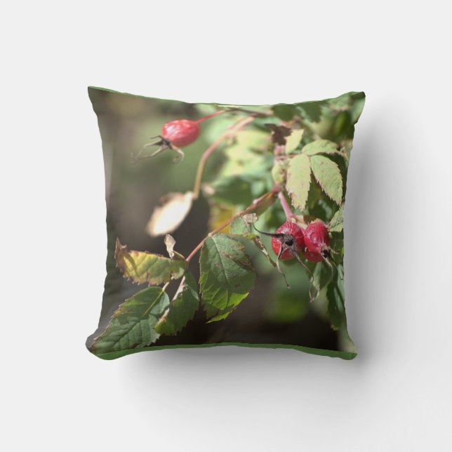 Almofada bagas (Frente)