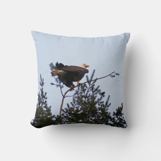 Almofada Bald Eagle (Frente)