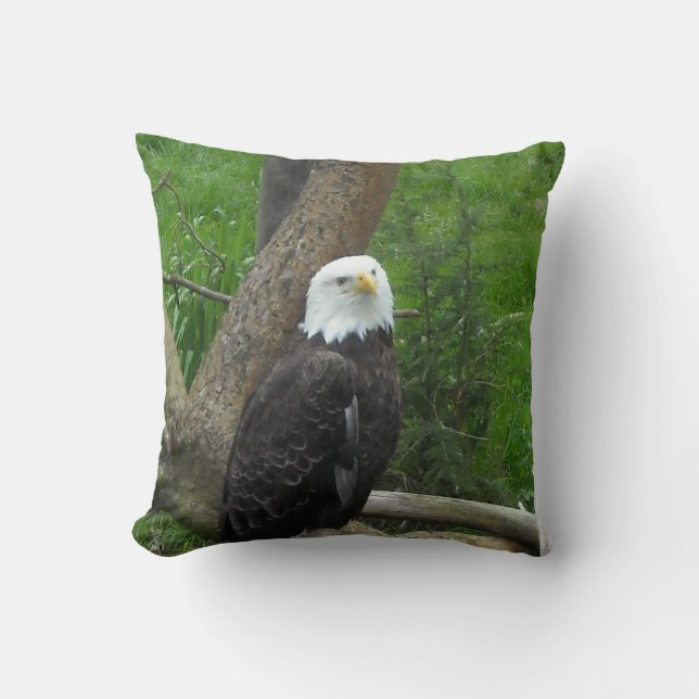 Almofada Bald Eagle (Frente)