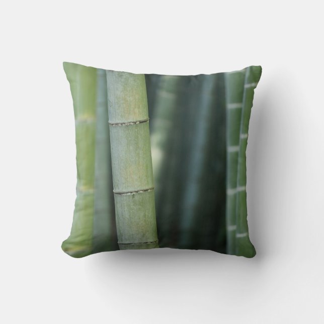 Almofada Bambu verde (Frente)