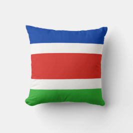 Almofada Bandeira de Laarbeek