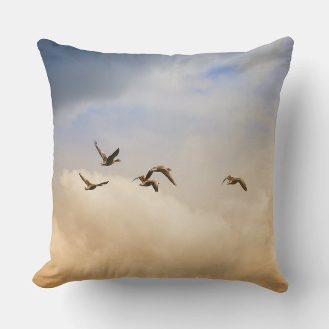 Almofada Bando de Aves em Voo (Frente)