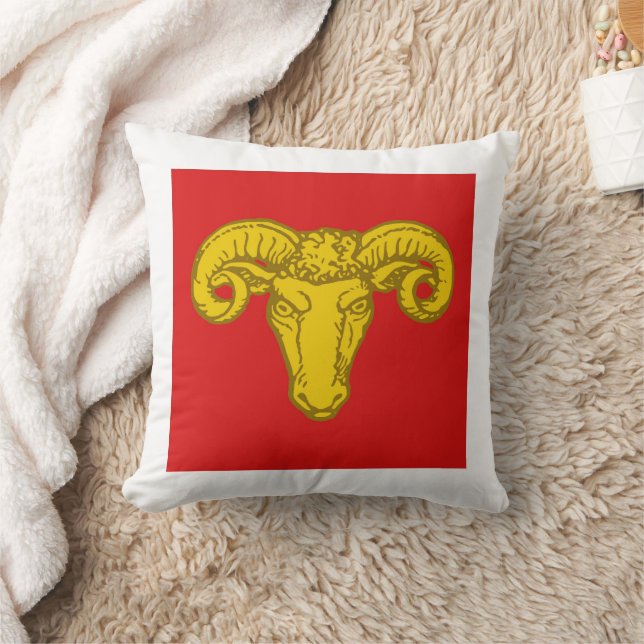 Almofada Barônia de Travesseiro decorativo Crachá da Popula (Cobertor)