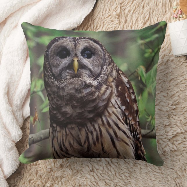 Almofada Barred Owl (Cobertor)