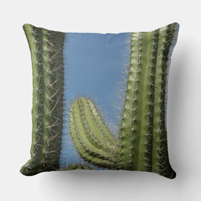 Almofada Barrel Cactus I Desert Photo (Frente)