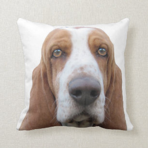 Almofada Basset Hound a urrar aproximadamente