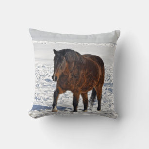 Almofada Bay Winter Mare & Snowy Field