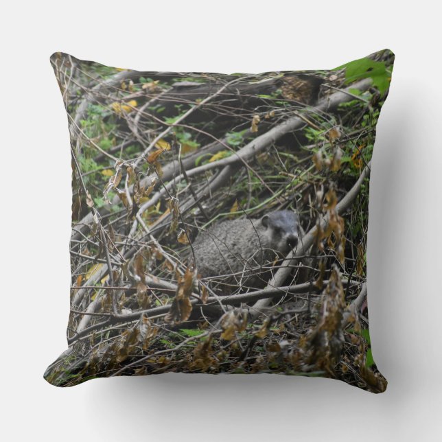 Almofada Beaver Ocupado (Frente)