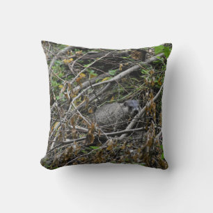Almofada Beaver Ocupado