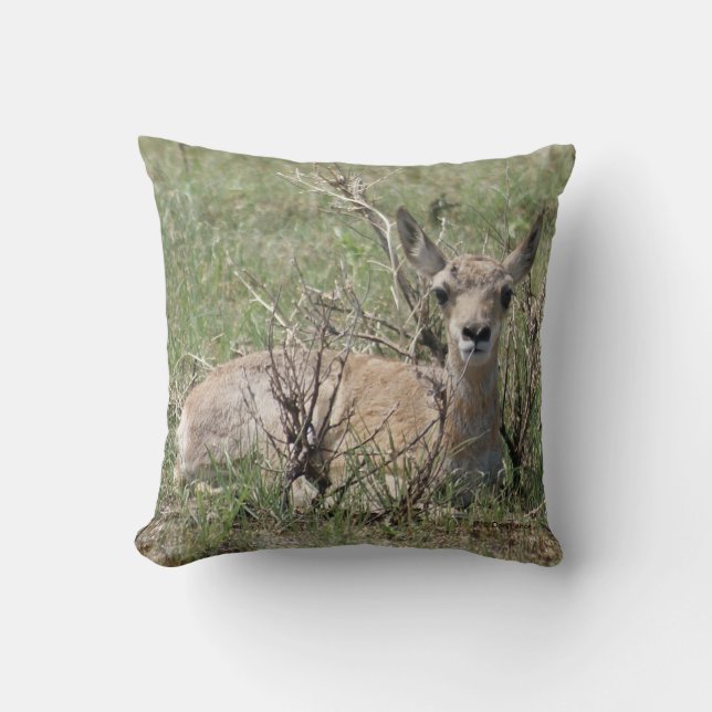 Almofada Bébe Antilope A7 (Frente)