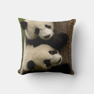 Almofada Bebês de panda gigante (Ailuropoda melanoleuca) 2