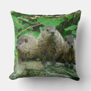 Almofada Bebês-Groundhogs - Woodchucks - Porcas