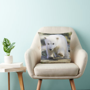 Almofada Bebês Mais Pobres   Bebê-Urso Polar