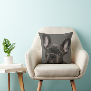 Almofada Bebês Mais Pobres Buldogue francês