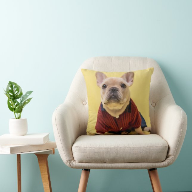 Almofada Bebês Mais Pobres | Buldogue francês vestido (Cadeira)