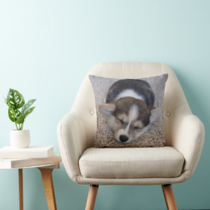 Almofada Bebês Mais Pobres Corgi Puppy em Shag Rug