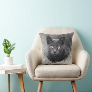 Almofada Bebês Mais Pobres   Gato Cinza