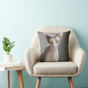 Almofada Bebês Mais Pobres Gato esfingx