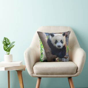 Almofada Bebês Mais Pobres Giant Panda Cub