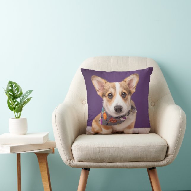 Almofada Bebês Mais Pobres | Halloween Corgi (Cadeira)