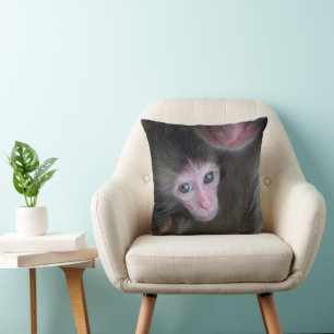 Almofada Bebês Mais Pobres Macaco Baby Macaque e Mãe