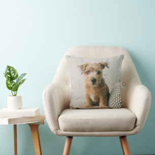 Almofada Bebês Mais Pobres Norfolk Terrier Puppy