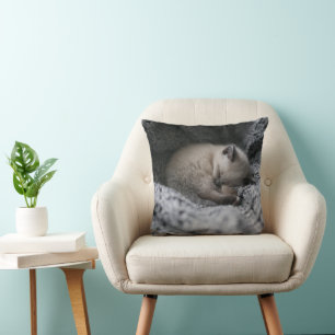 Almofada Bebês Mais Pobres Pequeno Gato Dormindo