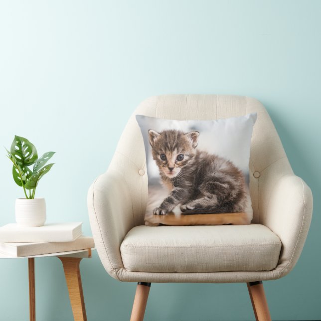 Almofada Bebês Mais Pobres | Pequeno Tabby Kitten (Cadeira)