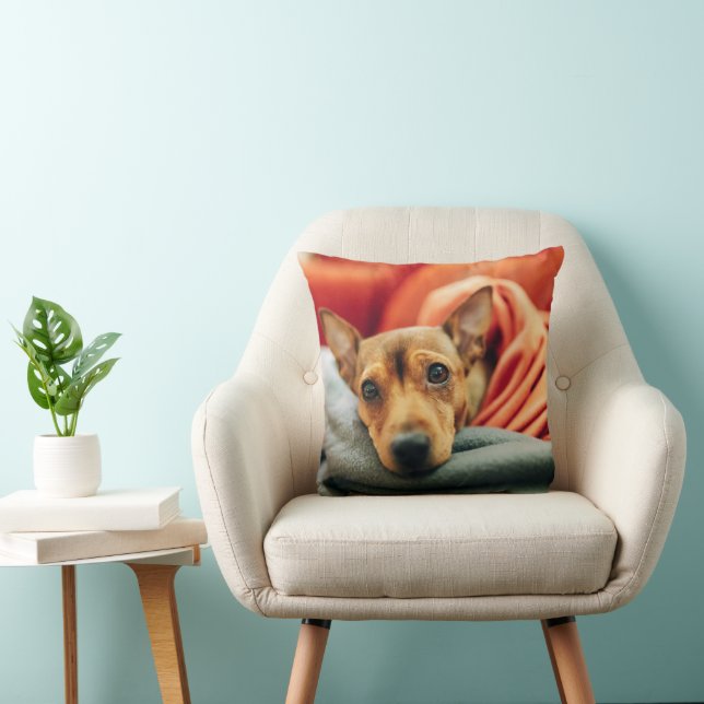 Almofada Bebês Mais Pobres | Pinscher miniatura (Cadeira)