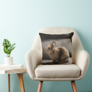 Almofada Bebês Mais Pobres   Rabbit anão neerlandês