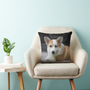 Almofada Bebês Mais Pobres Relaxamento do Corgi Puppy
