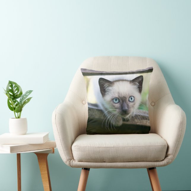 Almofada Bebês Mais Pobres | Siamese Kitten 2 (Cadeira)