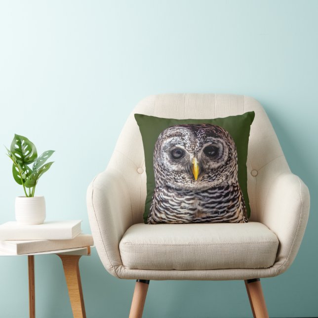 Almofada Bebês Mais Pobres | Tawny Owl (Cadeira)
