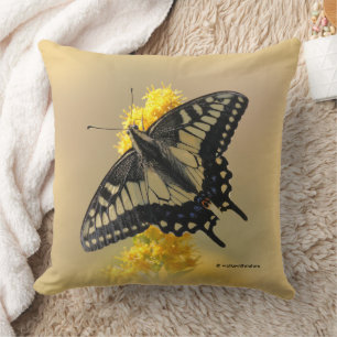Almofada Bela Anise Swallowtail Borboleta no Sol