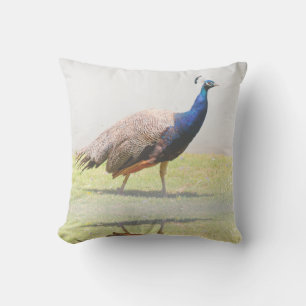 Almofada Belas Aves de Pássaro Peacock