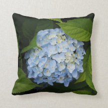 Belo Blue Hydrangea Foto Floral