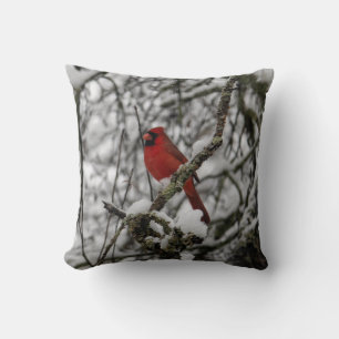 Almofada Belo Cardeal Vermelho em uma árvore cheia de neve