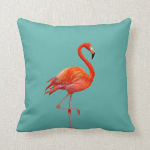 Almofada Belo Flamingo Rosa Coral em Azul Turquesa